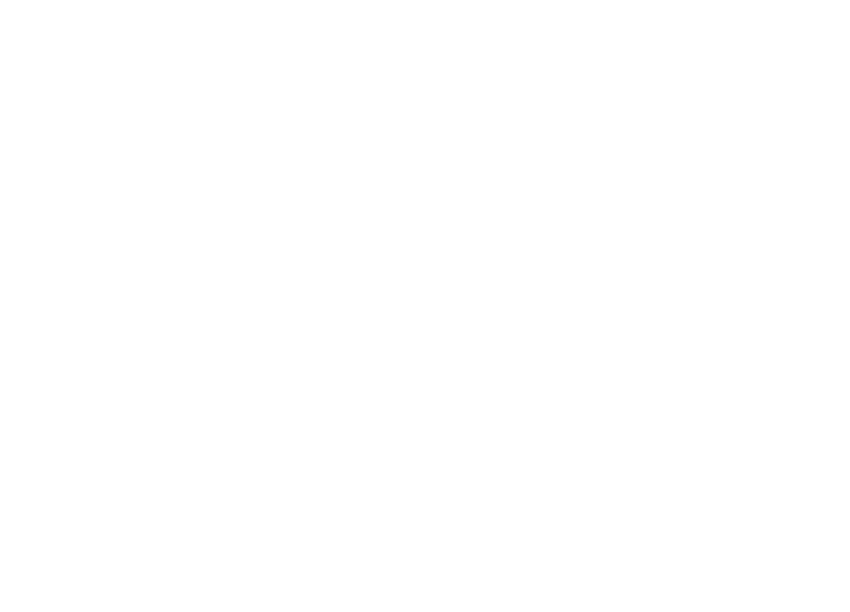 P&O Holdings